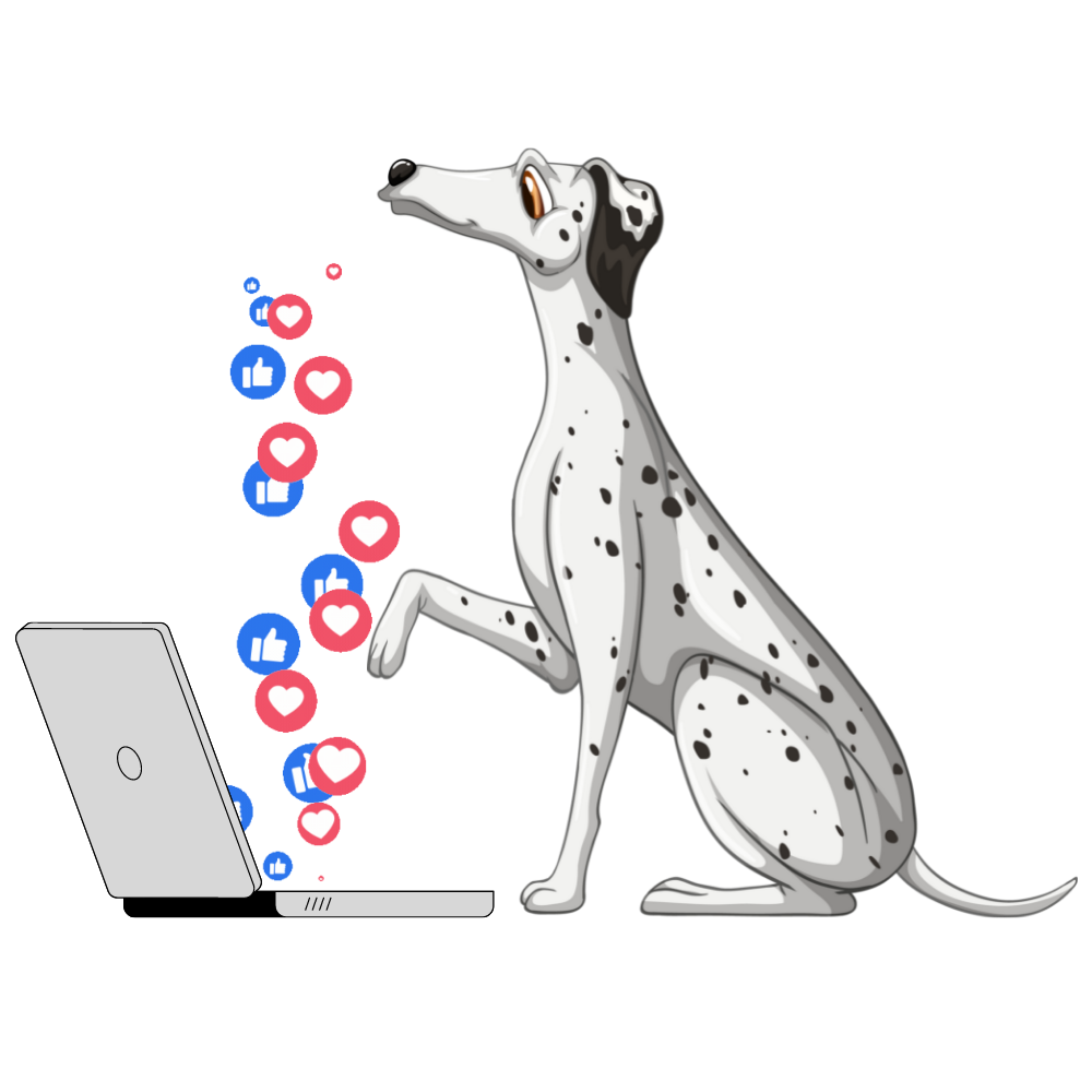 Stay Connected