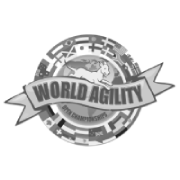world-agility-icon