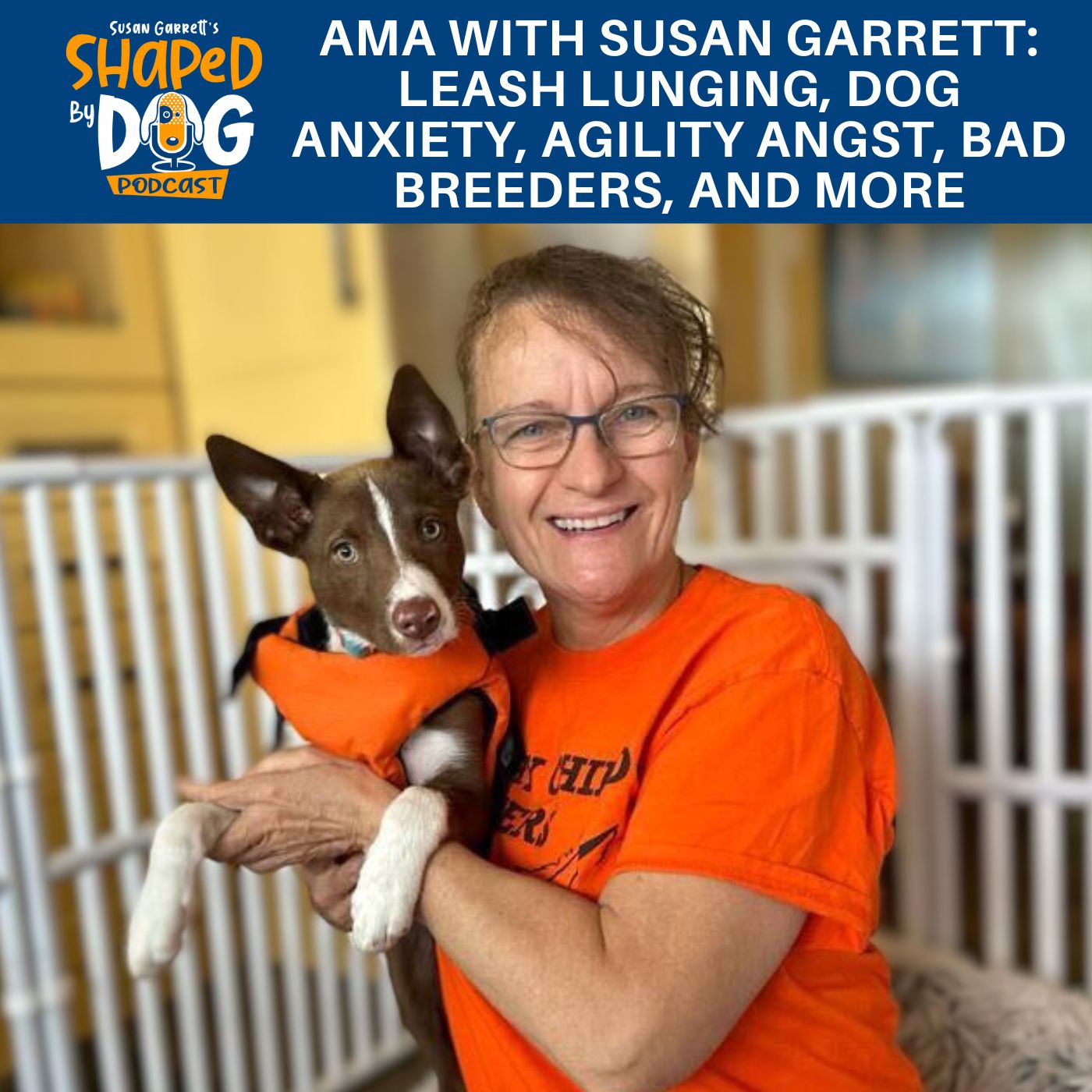 Episode: #235 - AMA With Susan Garrett: Leash Lunging, Dog Anxiety, Agility Angst, Bad Breeders, And More